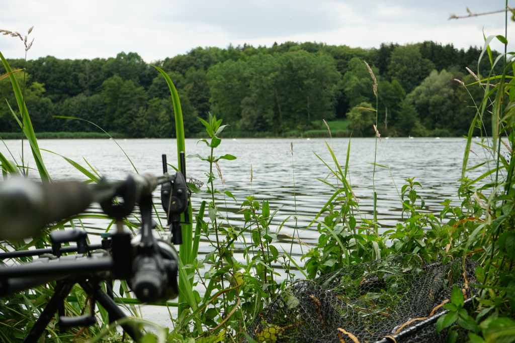 Ansitzangeln mit Rodpot auf Karpfen