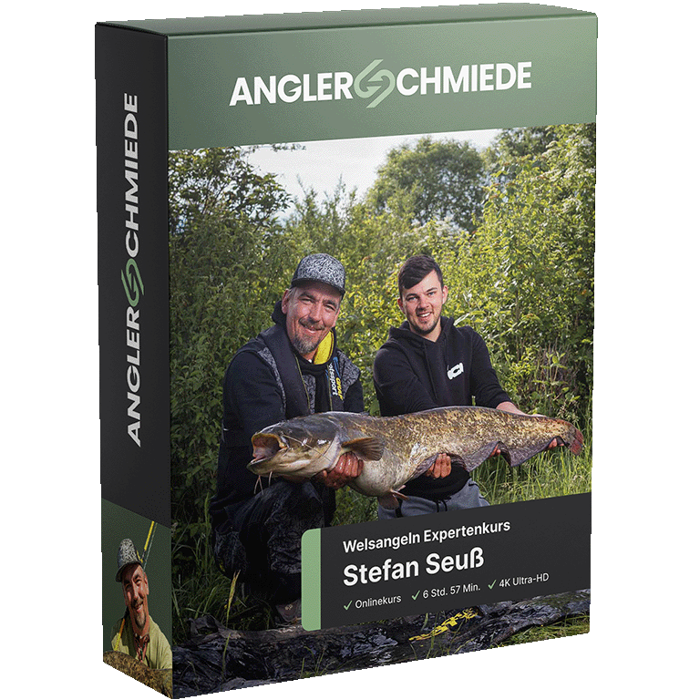 Anglerschmiede Expertenkurs Welsangeln mit Stefan Seuß, Produktbox Transparent