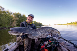 Traumfisch Waller - Der Fisch unter den Fischen