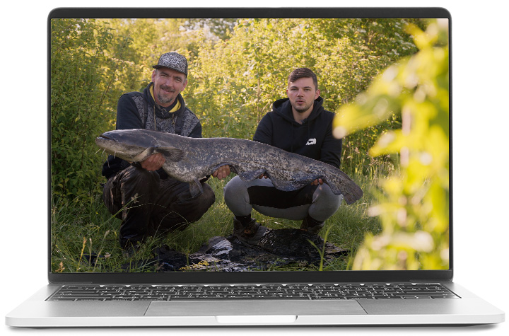 Traumfisch Waller - Guiding im Online-Expertenkurs