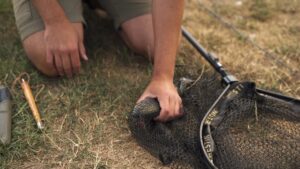 Vorbereitung auf die Prüfung für den Angelschein im Online-Kurs für Bayern mit Zertifikat
