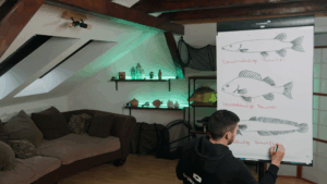 Vorschau in den Lehrgang und Kurs fuer die Pruefungsteilnahme in Hessen