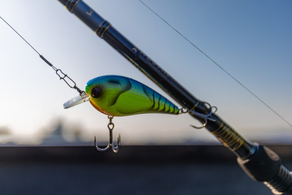 Crankbait an Spinnrute