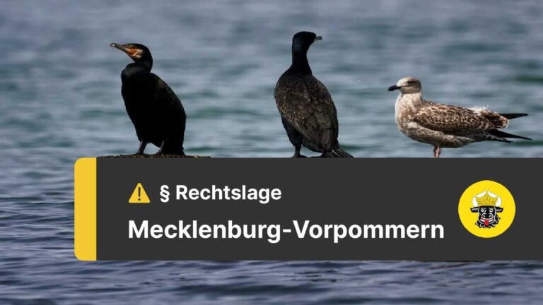 Ohne Fischereiprüfung in MV angeln - Touristenfischereischein lässt Urlauber legal ans Wasser
