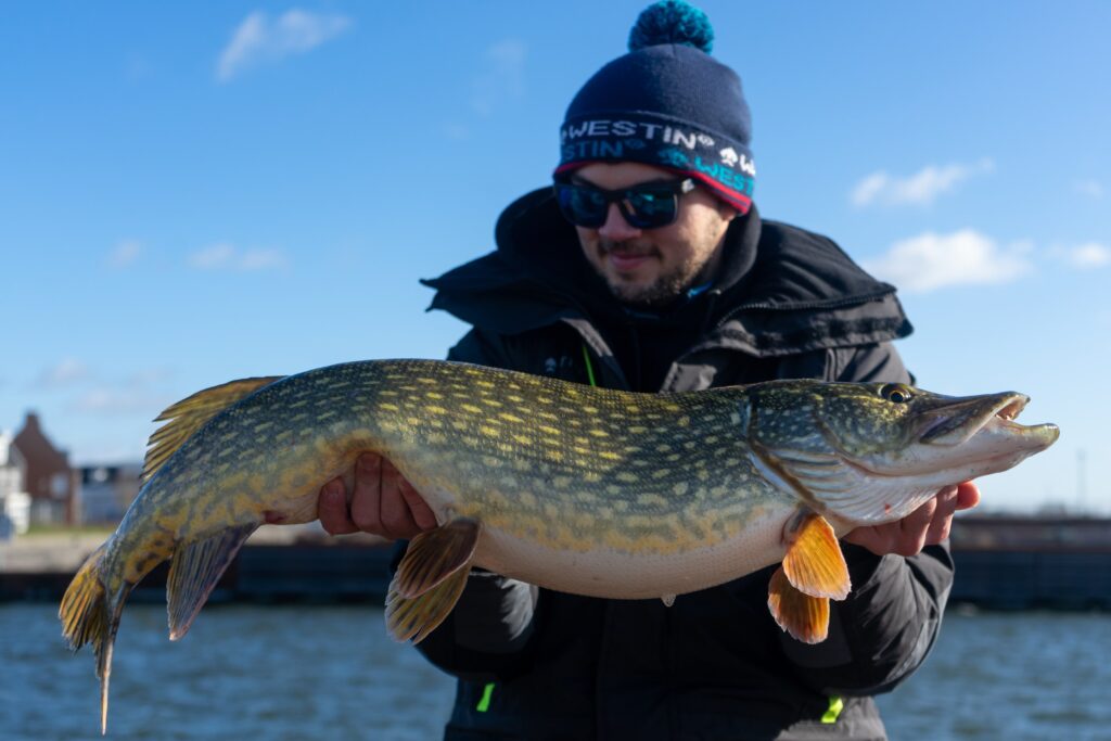 Angler mit Hecht